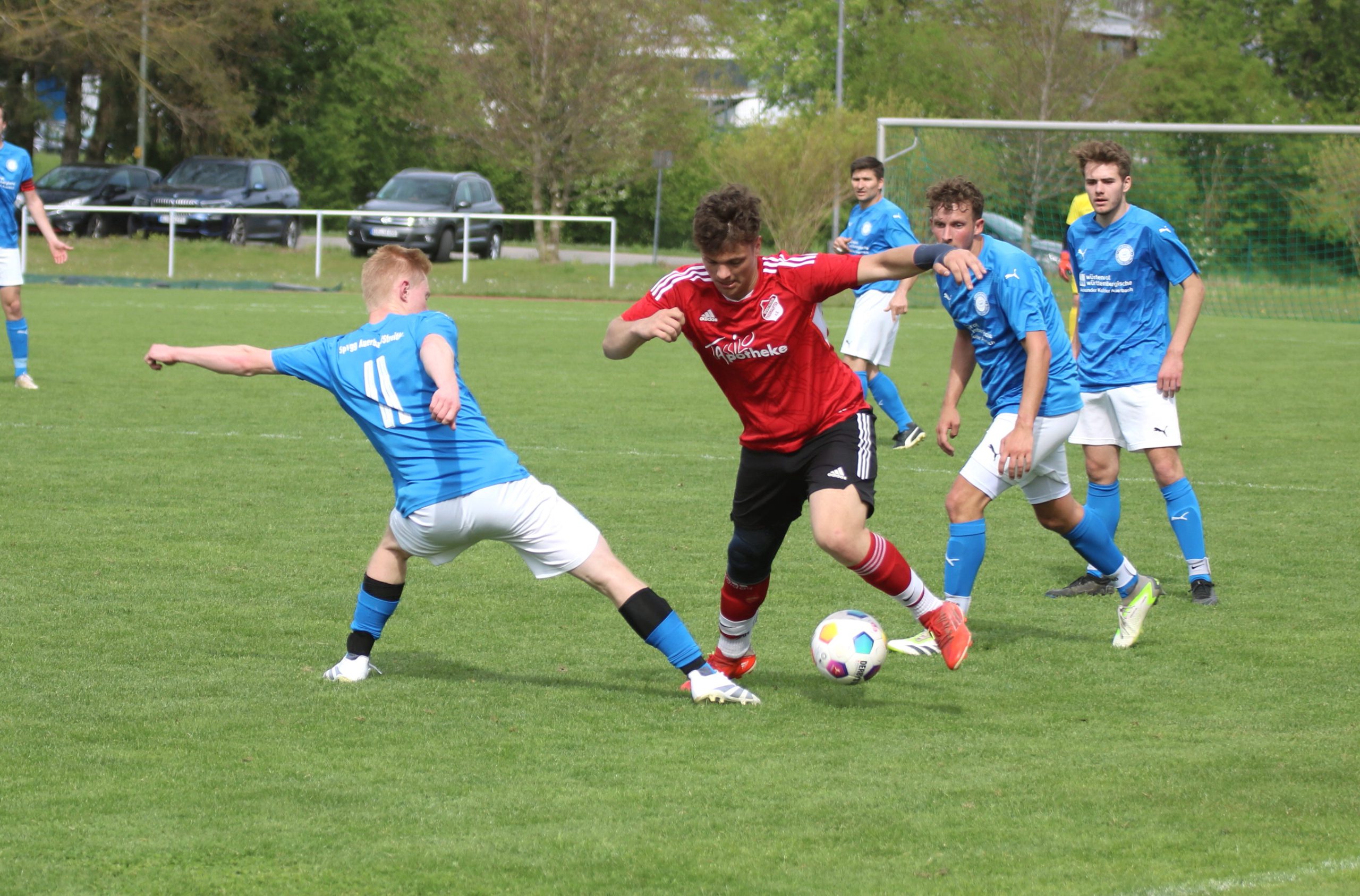 Herren 1. Mannschaft: SpVgg Auerbach-Streitheim – SV Thierhaupten